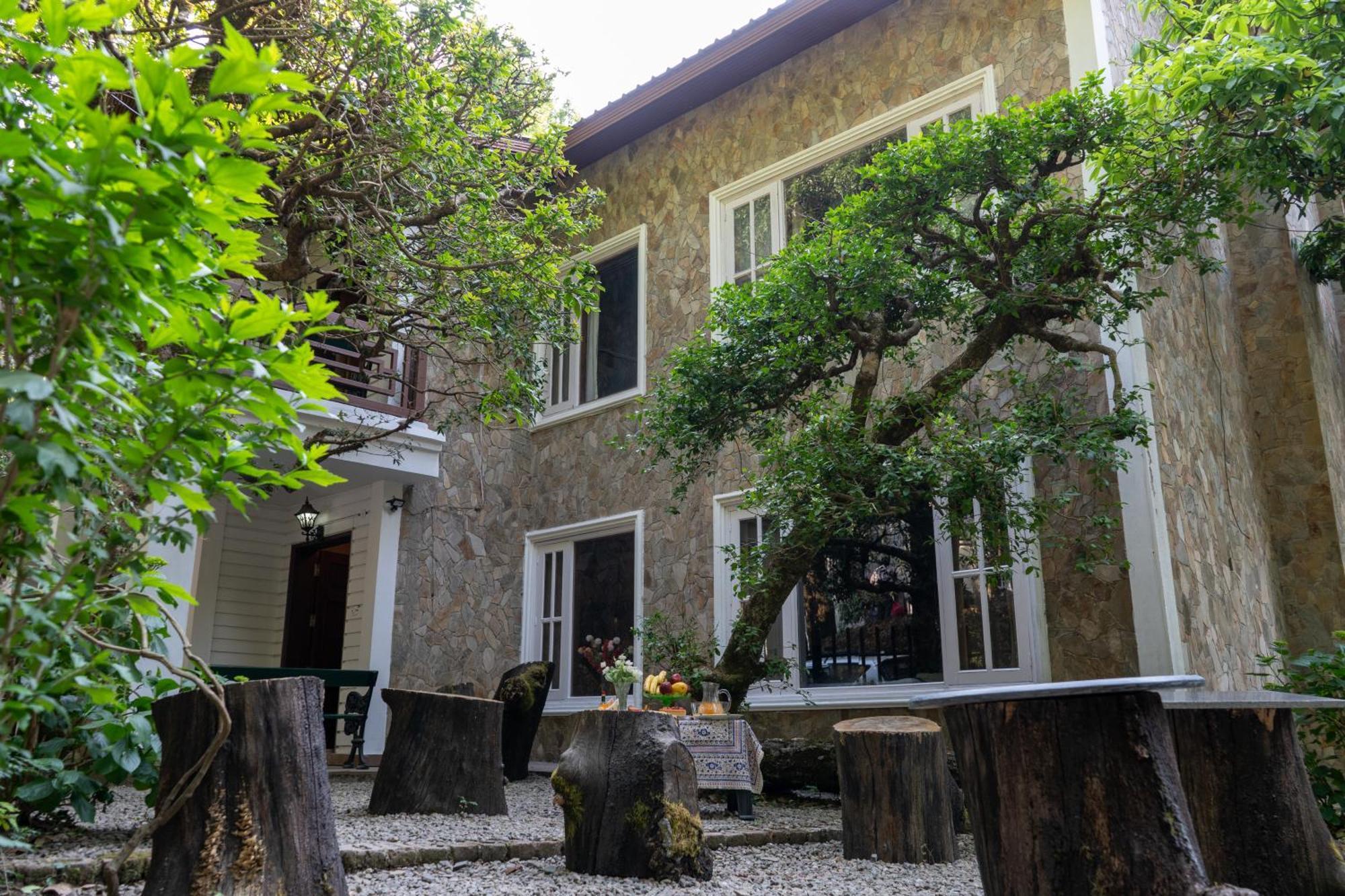 Vienna Forest Villa 奈尼塔尔 外观 照片